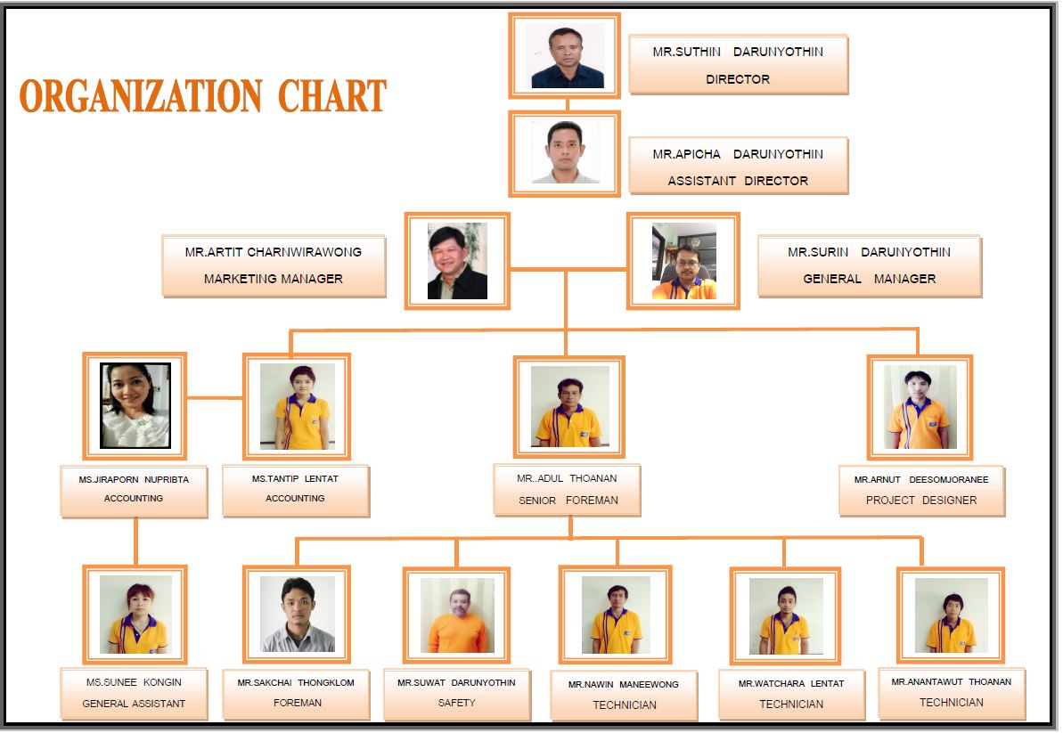 organizational design of toyota #4